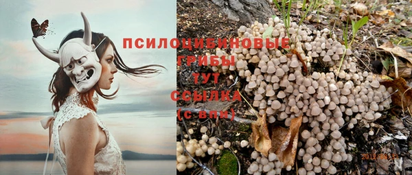 хмурый Белоозёрский