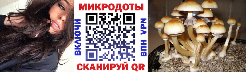 Галлюциногенные грибы GOLDEN TEACHER  купить наркотики цена  Нестеровская 
